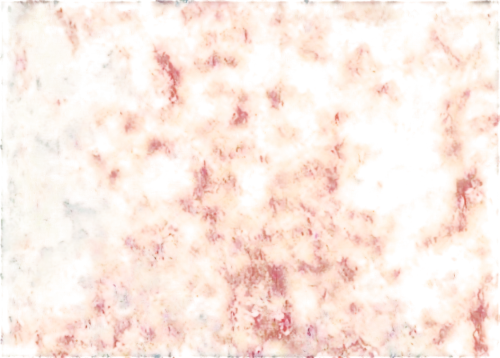 kngwarreye,lava,magma,firedamp,meditrust,seamless texture,inferno,molten,background abstract,abstract background,degenerative,garrisoned,orange,fire background,feuer,garrison,wall,peroxidation,ultramontane,petromatrix,Unique,Paper Cuts,Paper Cuts 02