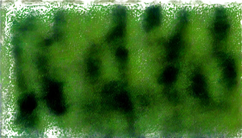 cyanobacteria,chlorophyll,microalgae,chlorophyta,chlorosis,isolated product image,spirulina,fir green,xylem,block of grass,degenerative,trichophyton,gradient blue green paper,green border,chlorella,water spinach,generated,wavelet,green background,biofilm,Conceptual Art,Daily,Daily 07