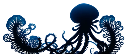 hydroids,apophysis,bioluminescent,hydroid,bioluminescence,deepsea,cnidarian,deep sea nautilus,fractal art,light fractal,fractal lights,tentacled,underwater background,tendrils,cnidaria,mermaid silhouette,octopus vector graphic,kirlian,spiral background,gorgonian,Conceptual Art,Daily,Daily 26