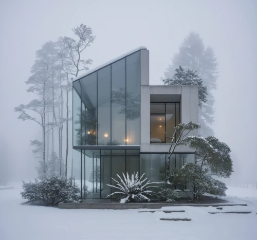 winter house,cubic house,mirror house,snow house,snowhotel,snow shelter,cube house,snow globe,house in the forest,forest house,snow roof,snohetta,glass facade,frame house,house in mountains,house in the mountains,dreamhouse,structural glass,modern architecture,frosted glass,Photography,General,Realistic