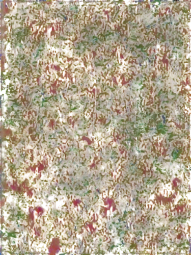 reionization,seamless texture,degenerative,biofilm,biofilms,kngwarreye,stereogram,multispectral,monolayer,terrazzo,hyperspectral,generated,blotter,petromatrix,multiscale,illustris,stereograms,microlensing,computer tomography,chameleon abstract,Unique,Paper Cuts,Paper Cuts 05