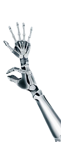 hand prosthesis,metacarpal,drill bit,scaphoid,speculum,medical instrument,artificial joint,handshake icon,cinema 4d,osseointegration,brachytherapy,orthopedics,the white torch,cryosurgery,hand draw vector arrows,handleman,touch screen hand,prosthesis,microinjection,biomechanical,Photography,Documentary Photography,Documentary Photography 29