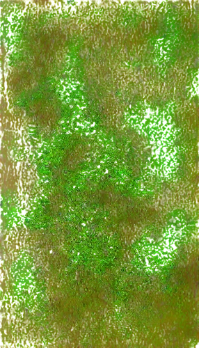cyanobacteria,chlorophyll,green bubbles,green folded paper,green tree phyton,green wallpaper,green tree,photosynthetic,green skin,generated,fir green,gradient blue green paper,duckweed,leaf green,chameleon abstract,green grain,green leaf,greensleeves,wavelet,fluorescently,Conceptual Art,Daily,Daily 07