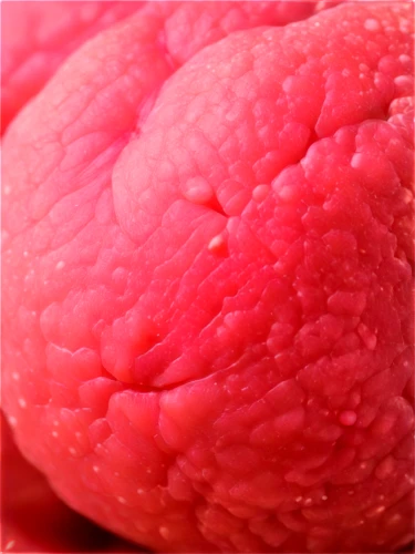 grapefruit,papillae,venules,pomelo,guava,licinianus,papules,grapefruits,seminoma,ovules,hemangiomas,stoma,embryo,corpuscles,trichinosis,mucilaginous,rosacea,spherules,angiomas,viscera,Illustration,Vector,Vector 04