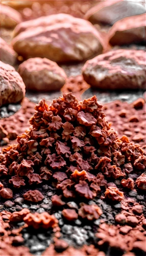 red sand,mountain stone edge,mudstones,red earth,riverbed,sediments,mudstone,colored rock,sediment,stone background,volcanic rock,sedimentary,sand texture,water and stone,solidified lava,mound of dirt,puddingstone,soil erosion,cobblestone,solidification,Photography,Fashion Photography,Fashion Photography 02
