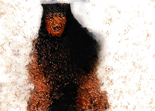 windigo,bearmanor,klimt,klimke,burqa,klimley,doberman,jawa,monifa,black shepherd,tarahumara,joujouka,ynglinga,bear guardian,creepy bush,bear,asahara,klimts,calyptorhynchus banksii,atala,Photography,Fashion Photography,Fashion Photography 19