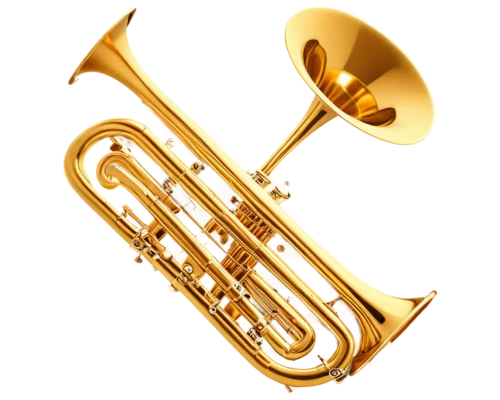 tuba,gold trumpet,trumpet gold,saxhorn,flugelhorn,tubas,euphonium,trumpet,trumpet shaped,fanfare horn,brass instrument,stallybrass,euphoniums,trumpet of jericho,sousaphone,climbing trumpet,tubist,american climbing trumpet,trumpets,instrument trumpet,Illustration,Japanese style,Japanese Style 14