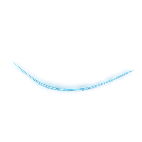 flagella,elegans,macula,ciliate,trichuris,pseudoknot,nematoda,pylori,essure,feather on water,nematode,needlefish,hypostome,vastola,dentata,chironomid,dorsal fin,spermatogonia,caloptilia,spermatozoa,Conceptual Art,Graffiti Art,Graffiti Art 11