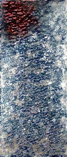 watercolour texture,seurat,pigment,spermatophores,watercolor texture,kngwarreye,undulatus,chromatophores,sfumato,boccioni,pavement,water surface,pintada,brocade carp,carafa,brakhage,tangye,multituberculata,reflection of the surface of the water,chiyonofuji,Illustration,Black and White,Black and White 27