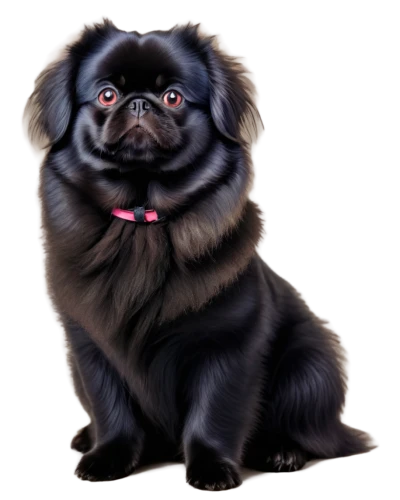 pekinese,shih tzu,pug,dog illustration,brachycephalic,edgar,puga,pet portrait,dog drawing,pomeranian,pugsley,chunhyang,shih,peke,wickett,pugalur,yorkshire terrier,digital painting,shih poo,puxi,Art,Classical Oil Painting,Classical Oil Painting 22