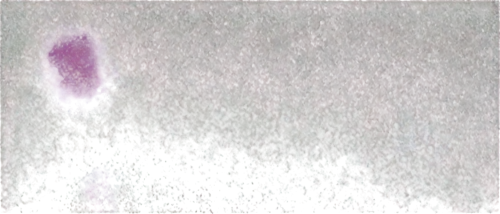 anaglyph,pseudospectral,spectroscopic,multispectral,spectrogram,nebulosity,spectrographic,photopigment,scanline,framebuffer,methone,spectrally,glsl,panspermia,microlensing,retina nebula,generated,extragalactic,kinemacolor,blank frames alpha channel,Unique,3D,Toy