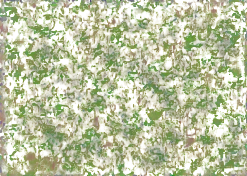 kngwarreye,biofilm,crayon background,olivine,degenerative,seamless texture,abstract background,biofilms,monolayer,colorful foil background,veil yellow green,background abstract,sphagnum,neurospora,chlorosis,pintada,gfp,tremolite,reionization,enantiopure,Illustration,American Style,American Style 09