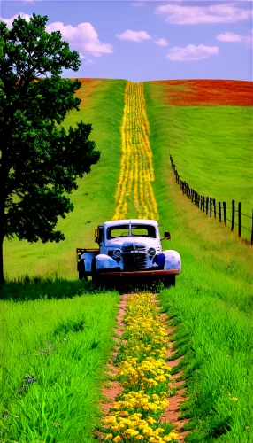 country road,dirt road,backroad,yellow grass,backroads,prairies,long road,rural landscape,verges,dandelion field,open road,rolling hills,sunflower field,countrie,unpaved,country,retro automobile,cropland,grasslands,bucolic,Illustration,Paper based,Paper Based 14