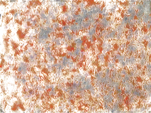 granite texture,granite slab,polished granite,terrazzo,kngwarreye,stone slab,background abstract,granite,brown mold,porphyry,eclogite,abstract background,granite counter tops,dichromate,pentoxide,impasto,marbleized,granodiorite,amber stone,stone background,Photography,Artistic Photography,Artistic Photography 05