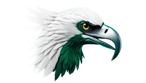 eagle illustration,eagle drawing,eagle vector,eagle head,eagle,sea head eagle,kecoughtan,eagle eastern,eagleson,eagleman,fish eagle,white eagle,schadler,seahawk,eagle eye,eagels,sea eagle,african fish eagle,gray eagle,green bird,Photography,Black and white photography,Black and White Photography 03