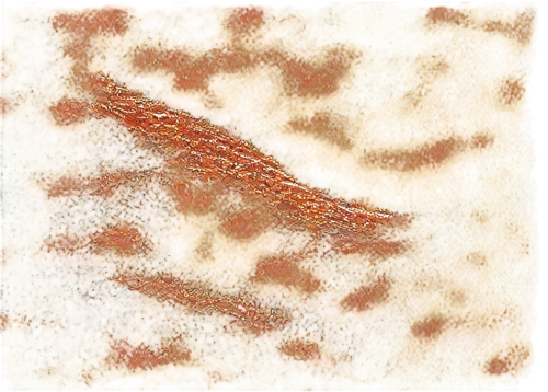 kngwarreye,abstract gold embossed,abstract painting,impasto,autumn leaf paper,color texture,ocher,felted and stitched,orange floral paper,autumn pattern,rusty chain,textured background,desert coral,chameleon abstract,fall leaf border,strata,marcil,autumn frame,watercolour texture,encrusting,Conceptual Art,Oil color,Oil Color 24
