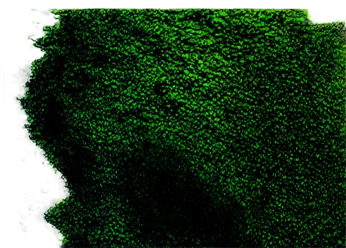 background ivy,bitmapped,seamless texture,green border,green tree phyton,tree texture,generated,dithered,shrubbery,hedge,ivy frame,green trees,obfuscated,tree moss,arborescent,framebuffer,lidar,vegetation,green tree,alnus,Art,Artistic Painting,Artistic Painting 06