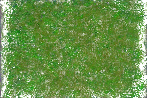 block of grass,seamless texture,green wallpaper,green background,square background,golf course grass,green lawn,grass,green grass,green border,gras,grono,grasslike,sphagnum,lawn,backgrounds texture,astroturf,forest moss,grass grasses,green grain,Illustration,Paper based,Paper Based 26