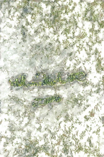 duckweed,hydrilla,azolla,watermilfoil,stigmella,macrophytes,aquatic herb,liverwort,liverworts,milfoil,tadpoles,zostera,aquatic plant,bryophytes,bryophyte,pondweed,trichophyton,aquatic plants,nettle leaves,pipefishes,Conceptual Art,Daily,Daily 19