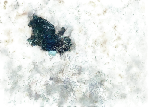 metop,butterfly isolated,isolated butterfly,leafminer,birdwing,amphibole,butterfly swimming,butterfly background,vulpeculae,strix nebulosa,checkerspot,cygnus,landsat,wolframite,comma,satellite imagery,vulpecula,venus surface,chameleon abstract,hindwing,Conceptual Art,Fantasy,Fantasy 34