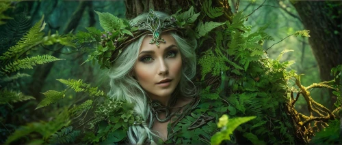 dryad,elven forest,mirkwood,faerie,faery,elven,dryads,elfland,tuatha,thranduil,nissa,fairie,faires,galadriel,elvish,fantasy picture,radagast,fae,druid,male elf,Illustration,Retro,Retro 13