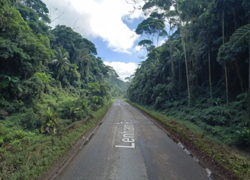 tambopata,kinabatangan,rwenzori,huaorani,essequibo,jayuya,paruta,leuser,jarawa,yasuni,tailevu,morobe,nyungwe,uluguru,ruwenzori,guiana,guyane,pastaza,province of cauca,chiriqui