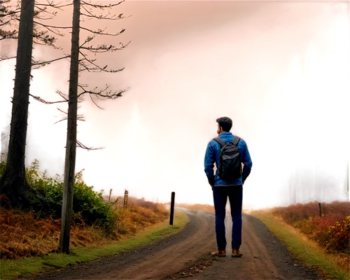 journeyed,walking man,long road,wandering,motzfeldt,dayz,journeying,the road,journeys,walk,slender,backroad,wander,distant,autumn walk,getting lost,hertzfeldt,the path,photo manipulation,toward,Photography,Black and white photography,Black and White Photography 04