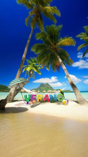 brazilian beach,grenadines,tropical beach,dream beach,guadeloupean,caribbean beach,bahamasair,seychellois,beach landscape,cuba beach,oracabessa,paradise beach,guadelupe,guadeloupe,tobago,praslin,tropical island,caribbean,tropical sea,grenada