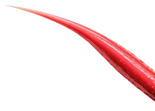 microvascular,coronary vascular,dendronotid,fibroblast,carotid,arteriole,arteriovenous,hypercholesterolemia,flagellar,nasopharyngeal,stenting,angioplasty,dilator,flagella,tamponade,stents,forceps,angiogenesis,velopharyngeal,oropharyngeal,Art,Classical Oil Painting,Classical Oil Painting 08