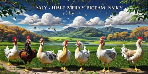 wild geese,nature background,background view nature,greylag geese,gray geese,swans,landscape background,migratory birds,white storks,geese,wildfowl,flock of geese,swan lake,nile goose,gooses,nasreddin,ibises,greylag,flying geese,children's background