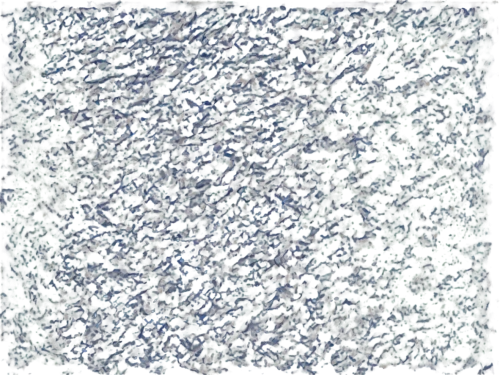 seamless texture,stereogram,degenerative,generative,stereograms,generative ai,generated,seurat,blue sea shell pattern,carpet,kngwarreye,gravel,purple blue ground,multitude,grass seeds,terrazzo,pointillist,marpat,meadow in pastel,carpeted,Illustration,Black and White,Black and White 11