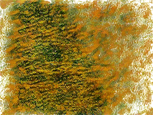 arborvitae,tree texture,watercolour texture,yellow wallpaper,forest moss,larch discoloration,bryophyte,plants yellow and red,decorative bush,sphagnum,bryophytes,dermatophytes,tree moss,sargassum,trichophyton,halophyte,ground cover,xanthophylls,vegetation,shrub,Photography,Documentary Photography,Documentary Photography 07