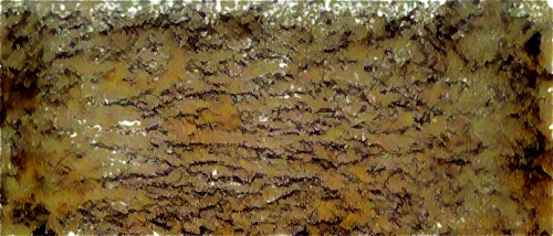 bioturbation,tree bark,tree texture,brown mold,anthracnose,trichoderma,sackcloth textured background,cement background,epidermis,sedimentation,wall texture,sediment,biofouling,watercolour texture,sediments,phellinus,wood texture,woodworm,bark,biofilm,Conceptual Art,Oil color,Oil Color 19