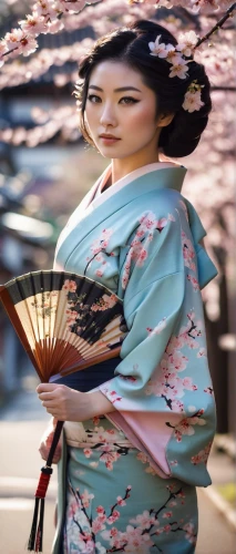 geisha girl,geisha,japanese woman,geiko,maiko,japanese culture,oiran,geishas,oriental girl,kimono,hanfu,kyudo,kazumi,daiyu,japanese floral background,gion,oriental princess,heian,japanese art,asian woman,Photography,Fashion Photography,Fashion Photography 13