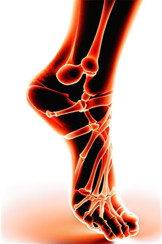 foot reflexology,foot reflex zones,reflex foot sigmoid,osteoarthritis,foot reflex,dorsiflexion,neuroma,reflex foot kidney,podiatrists,polyneuropathy,fibular,adductor,sclerotherapy,thrombophlebitis,supination,orthopedics,neuropathy,sciatica,ligamentous,orthotic,Illustration,Realistic Fantasy,Realistic Fantasy 46