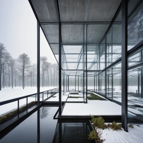 mirror house,zumthor,mies,snohetta,glass facade,glass wall,amanresorts,winter house,glass facades,cubic house,structural glass,tugendhat,glass building,adjaye,sanatoriums,aalto,bunshaft,frame house,forest house,glass panes,Photography,Black and white photography,Black and White Photography 01