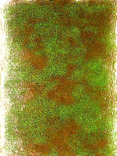 pointillist,degenerative,percolated,kngwarreye,crayon background,lichenized,biofilm,dithered,chameleon abstract,generated,scan strokes,pointillism,pointillistic,gradient blue green paper,pigment,overlaid,net,color texture,carpet,hyperstimulation,Photography,Fashion Photography,Fashion Photography 23