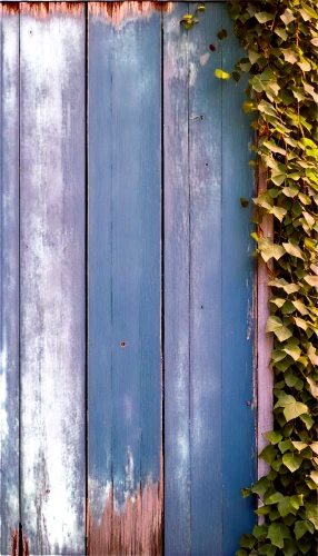 blue door,garden door,blue doors,wooden door,old door,wooden shutters,rusty door,outbuilding,wooden fence,shutters,wooden wall,garden fence,metallic door,greek island door,iron door,garden shed,steel door,doors,doorways,wood gate,Illustration,Black and White,Black and White 14