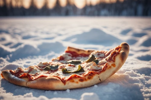 pizza oven,frozen food,snow ring,wood fired pizza,stone oven pizza,finnish lapland,pizza hawaii,snow destroys the payment pocket,mystic light food photography,pizzetti,frozen vegetables,pizza topping,pizza,pizmonim,whitesand,pokljuka,food photography,karelian,snow crab,slice of pizza,Photography,General,Cinematic