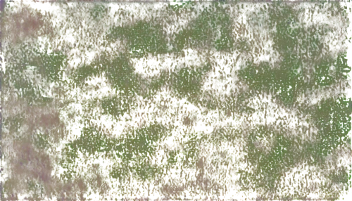 seamless texture,landcover,naturalizing,scrubland,shrub,metop,ornamental shrub,background texture,sackcloth textured background,generated,variegation,landscapist,birch tree background,coconut palm infrutescence,anthracnose,spring leaf background,vegetation,oolite,underbrush,palimpsest,Unique,3D,Toy