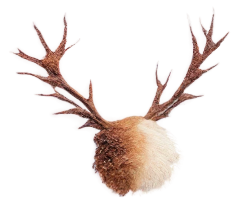 glowing antlers,reindeer head,winter deer,antlered,reindeer polar,christmas deer,rudolph,reindeer,antler velvet,antler,elk,antlers,buck antlers,gold deer,reindeer from santa claus,deer head,blitzen,deer antlers,red deer,male deer,Photography,Fashion Photography,Fashion Photography 10