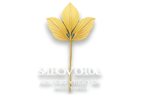 shavuot,sehovic,revocations,silviculture,slivovitz,slovo,avrohom,sylvaticum,slavonic,shestakov,slavonia,shemtov,svo,breslov,svishtov,sedova,showhouse,gold art deco border,siemionow,berestov,Conceptual Art,Oil color,Oil Color 09