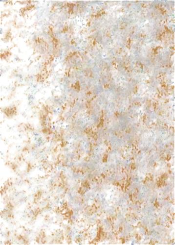 amphibole,seamless texture,granite texture,stereograms,nanocrystalline,petrographic,brocade carp,porphyry,terrazzo,varroa,fabric texture,pool water surface,brown fabric,petromatrix,stereogram,road surface,biofouling,morgellons,porphyritic,pavement,Illustration,Realistic Fantasy,Realistic Fantasy 14