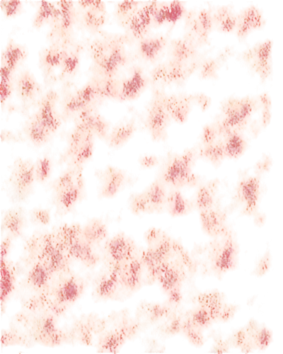 kngwarreye,orange floral paper,biofilm,orange dots,cocci,pneumococci,granulocyte,leukocytes,neurospora,terrazzo,orange,eosinophils,seamless texture,enterococci,carrot print,epidermidis,globules,spherules,meditrust,orang,Conceptual Art,Daily,Daily 07