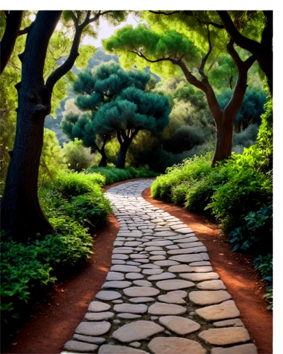 tree lined path,pathway,forest path,the mystical path,hiking path,the path,japanese garden,wooden path,pathways,paths,naples botanical garden,japan garden,path,towards the garden,tree lined lane,walkway,chemin,ritsurin garden,bellingrath gardens,walk in a park,Illustration,Children,Children 03