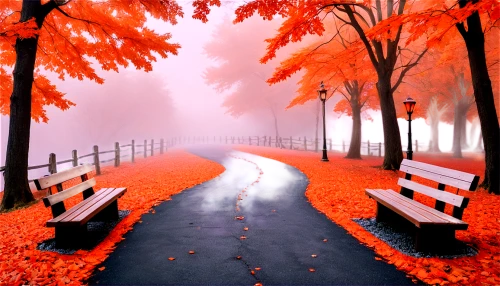 autumn background,autumn fog,autumn scenery,autumn landscape,autumn park,autumn forest,autumn in the park,autumn frame,autumn walk,red bench,fall landscape,park bench,the autumn,just autumn,autumn songs,autumn,autumn idyll,autumn morning,autumn day,landscape background,Conceptual Art,Fantasy,Fantasy 15