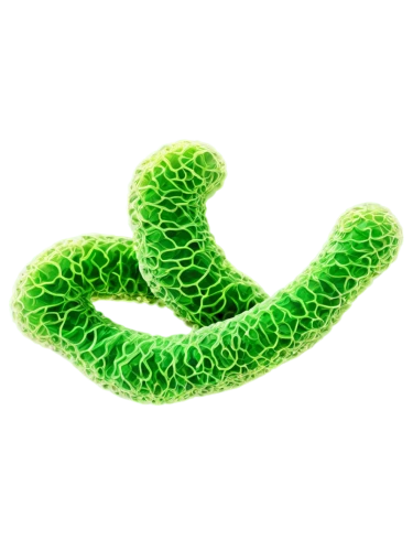 rod of asclepius,green snake,chloropaschia,pylori,green mamba,cyanobacteria,elegans,koru,patrol,microalgae,green tree snake,green python,spiralis,pseudomembranous,eukaryote,chloroplast,euglena,betaproteobacteria,ecolabel,spiral background,Photography,Fashion Photography,Fashion Photography 21