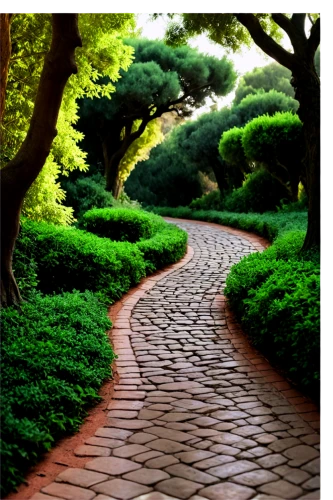 tree lined path,pathway,forest path,wooden path,the mystical path,the path,walkway,paths,winding road,towards the garden,pathways,tree lined lane,japanese garden,hiking path,to the garden,path,driveway,bellingrath gardens,forest road,ritsurin garden,Illustration,Retro,Retro 19
