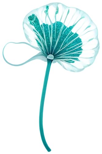 marasmius,parasol,mycena,palm tree vector,balloon flower,retro flower silhouette,flowers png,blue mushroom,lotus png,windbloom,conocybe,tree mushroom,dandelion background,anti-cancer mushroom,dinoflagellate,clitocybe,petrojet,bladderwort,blu flower,growth icon,Photography,Fashion Photography,Fashion Photography 23