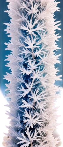 christmastree worms,snowflake background,paphlagonian,christmas snowflake banner,ice flowers,spines,acropora,gorgonian,snow tree,knitted christmas background,hoarfrost,pine cone ornament,cytoskeletal,feather coral,kerschbaum,fir needles,blue spruce,ice crystals,crystalize,fir tree decorations,Conceptual Art,Graffiti Art,Graffiti Art 06